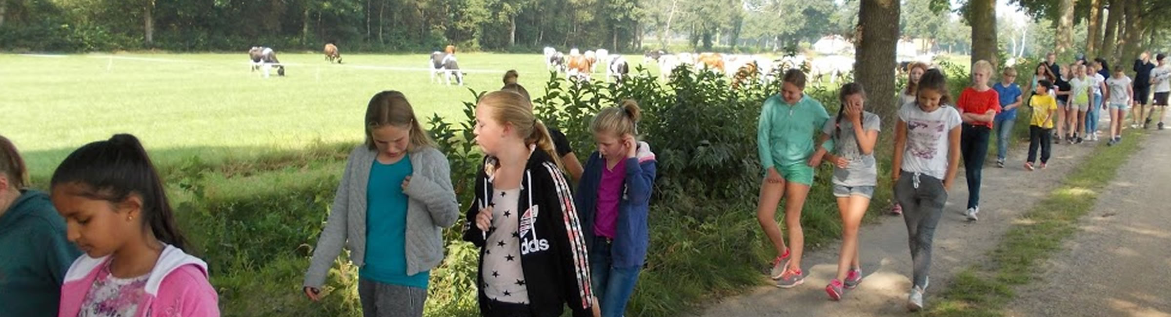 schoolkamp-groep-8-voor-basisschool.jpg